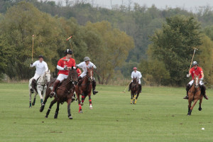 2008 Polo Season