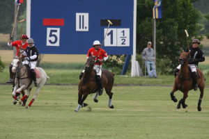 2009 polo season