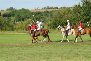 2010 Polo Season