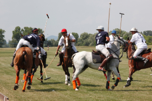 2011 BMW Cup