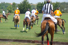 2012-2-akcio-