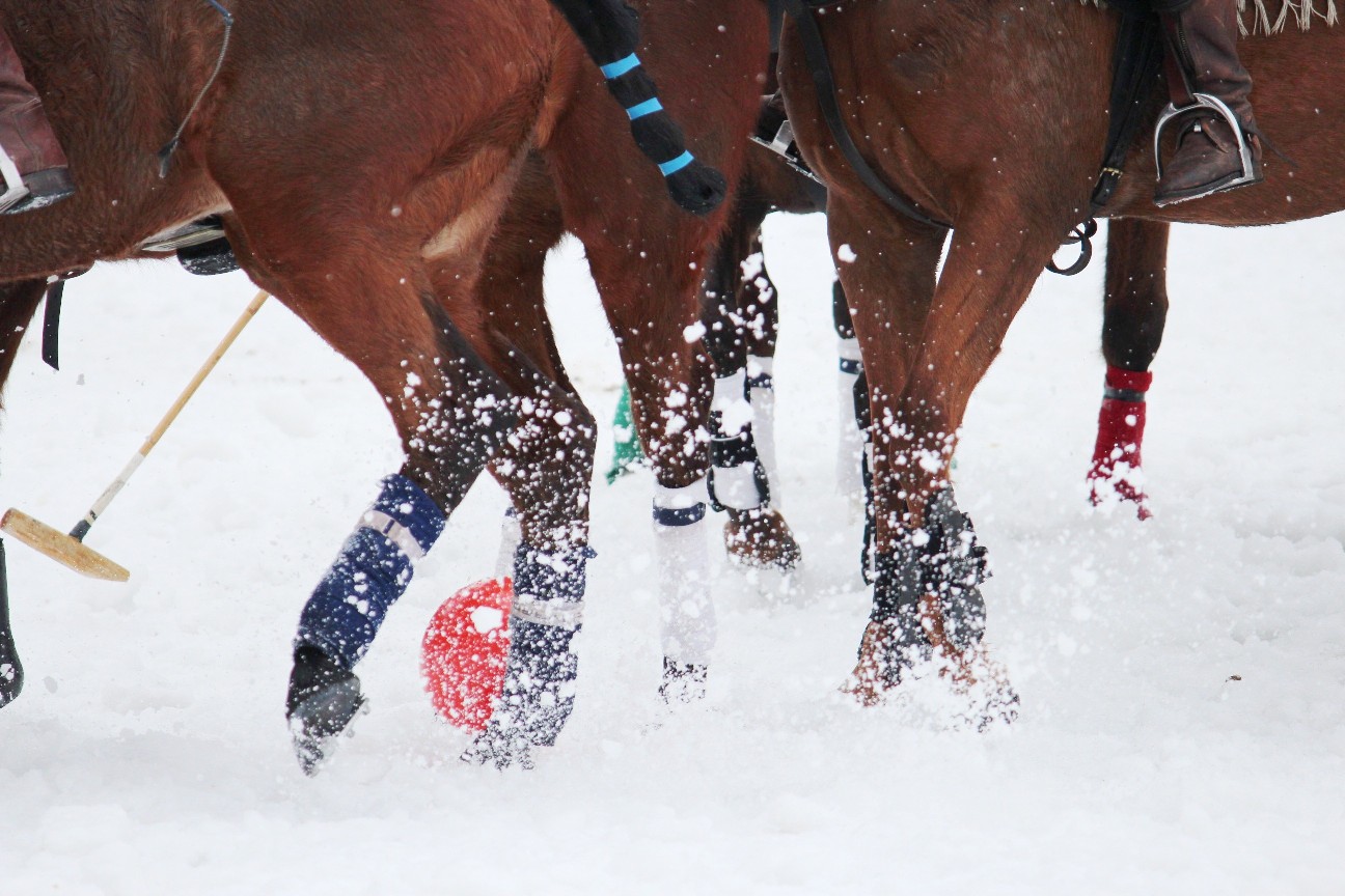 2013 0 snowpolo-
