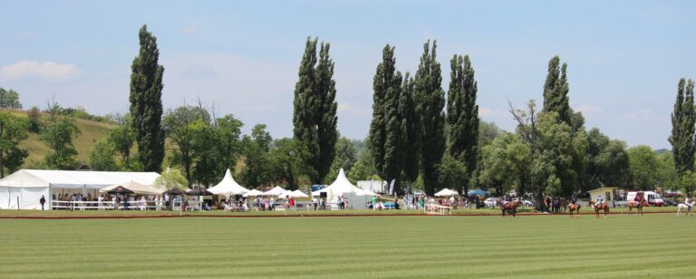 0 0 2 2014 06 29 buckscup 165v 768x308