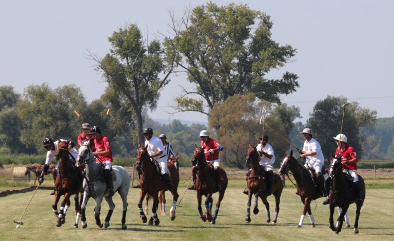 0 0 2016 08 28 countandrssycup049 768x471