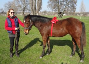 2014 02 16 mrciusi stick an ball 024 300x214