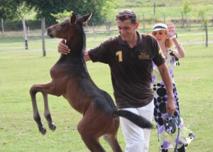 2014 06 29 tristan pallavicinigaskodik 300x214