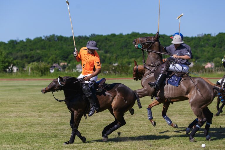 2017 05 28 audidiplcup452 768x512
